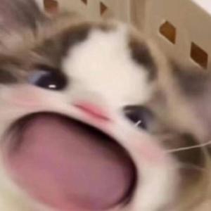 小南爆乳被❌🔞🔞㊙️游戏
