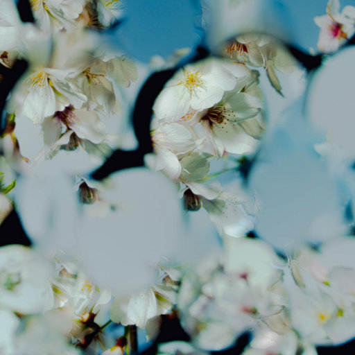 小南爆乳被❌🔞🔞㊙️游戏
